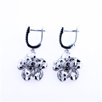 Earrings Woman in Silver Zircone FGOR00881